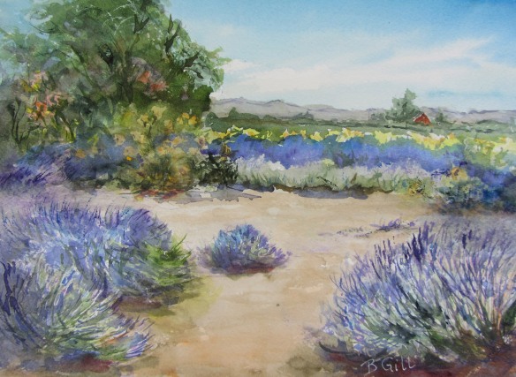 Gill_Beekman's Lavender Farm